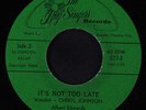 CHERYL JOHNSON: It's Not Too Late / Racoon Meat Is Good To Eat 45 rare Soul