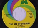 SHY GUYS: You Are My Sunshine / Rockin' Pneumonia And The Booga Loo Flu 45 (dj,