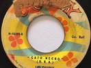 LOS PAJAROS - Gato negro / GARAGE PUNK FUZZ MEXICO 45 // Nicaragua press