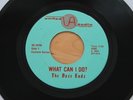 THE DAZE ENDZ What Can I Do?/Knock On Wood 45 Ohio Garage Soul HEAR