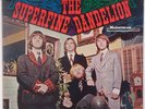 SUPERFINE DANDELION: Self Titled ’67 Psych Garage ORIG Mainstream VINYL LP
