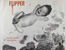 Flipper 