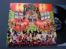 Pantera   