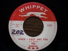 RARE DOO WOP  THE ROBINS  since i first met you  WHIPPET  NICE  & GREAT 