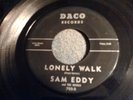 sam eddy & the Revels surf rocker  daco 702 rock..7