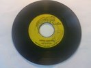THE SLICKER - JOHNNY TOO BAD/ VERSION/ PANTHER 7