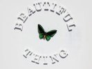 The Stone Roses - Beautiful Thing Ltd Edition 12