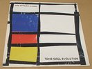 THE APPLES IN STEREO ?Tone Soul Evolution LP 1997 SPINART Yo La Tengo OOP Rare