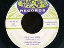 45bs-R&B vocal group-BACK BEAT 501 Norman Fox and the Rob-Roys