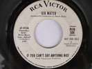 Northern Soul 45, Gia Mateo, If You Can't Say Anything Nice, RCA WLP