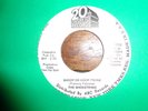 THE SHOESTRING 20TH FOX   promo SURF GARAGE R&B INSTRO 45 NM