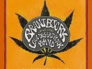 Black Power Flower - BJORK BRANT AND THE LOW DESERT PUNK BAND [LP]