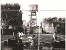 Royal Headache by Royal Headache.