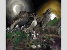 Avatar - Feathers & Flesh New Vinyl LP