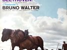 TAS LIST - WALTER / Beethoven Symphony No.6 Pastorale / Columbia 6-EYE, MS 6012