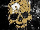 THE DEAD DAISIES - MAKE SOME NOISE (RED VINYL) 2 VINYL LP+CD NEU