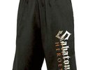 SABATON, Logo SHORTS Gr. L *NEU*