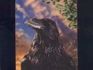 THE STRANGLERS The Raven RARE 1979 LP 3-D COVER