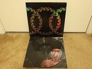 TOOL - LATERALUS - 2005 PICTURE DISC