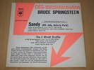 Bruce Springsteen 7