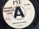 Rare UK  Mod Psych Freakbeat  JAN PANTER - 