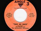 Lee Fields - Take Me Back / Tyra's Song (Soul, 45)