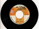 REGGAE GEORGE / SKY NATION - FIG ROOT / ROOTS VERSION - HIGH NOTE - 70s - SP0047