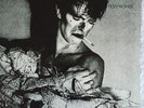 David Bowie, Iggy Pop rare album Kiss Away The Darkest Day
