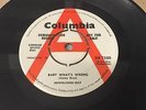 THE DOWNLINERS SECT 'BABY WHATS WRONG' RARE KILLER R&B 45 MINT MINUS DEMO