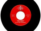DEE JAY & THE RUNAWAYS “JENNY JENNY” IOWA’S RAREST FRAT ROCK RECORD FROM 60’s