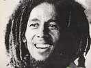 BOB MARLEY & THE WAILERS KAYA VINYL RECORD LP 12