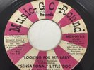Rare Soul 45 Sensational Little Doc 