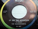 MAGNIFICENTS later VEE-JAY pressing doowop 45 UP ON THE MOUNTAIN LET'S DO bb3375