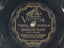 78 RPM -- Andrew and Jim Baxter, Victor 20962, V+   Blues - Country