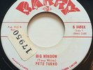 TEEN 60's Pete Turko BIG WINDOW / MY LOVE FOR YOU Barry 45 rare Canadian