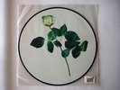 Robin S. Show Me Love (2002 Remixes)  GER 12in Picture-Disc 2002 House
