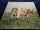 Atom Heart Mother  Pink Floyd lp