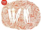 Burn Your Fire For No Witness - Angel Olsen (2014, Vinyl NEW)