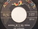SAPPHIRES - 'GONNA BE A BIG THING' - NORTHERN SOUL - *LISTEN*