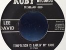 RARE NORTHERN SOUL LEE DAVID - TEMPTATION'S CALLING MY NAME - U.S. RUBY
