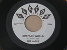 JADES SURFACE WORLD FENTON orig US G45 GARAGE FRAT BEAT 7