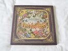 Rare Panic at the Disco Pretty Odd Limited Edition Vinyl Boxset V.Good Condition