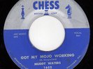 BLUES record By Muddy Waters-