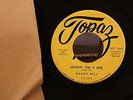 Grant Hill 45 LP Topaz Label 