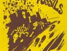 The Chesterfield Kings Fossils Flashback 2 66 Vinyl LP