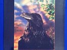 Stranglers - The Raven Japanese Pressing 3-D Cover GP 765