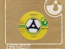 THE MOVE - CALIFORNIA MAN  - GREEK 45'