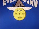 EVANS PYRAMID - Never Gonna Leave You - Vinyl (12