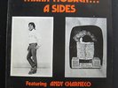 Mark Hoback ?- A Sides LP VG+ 12-33-07 Private 1980 Lofi Psych Vinyl Record