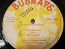 Dave Robinson Ruby And Diamond Killer Roots 12